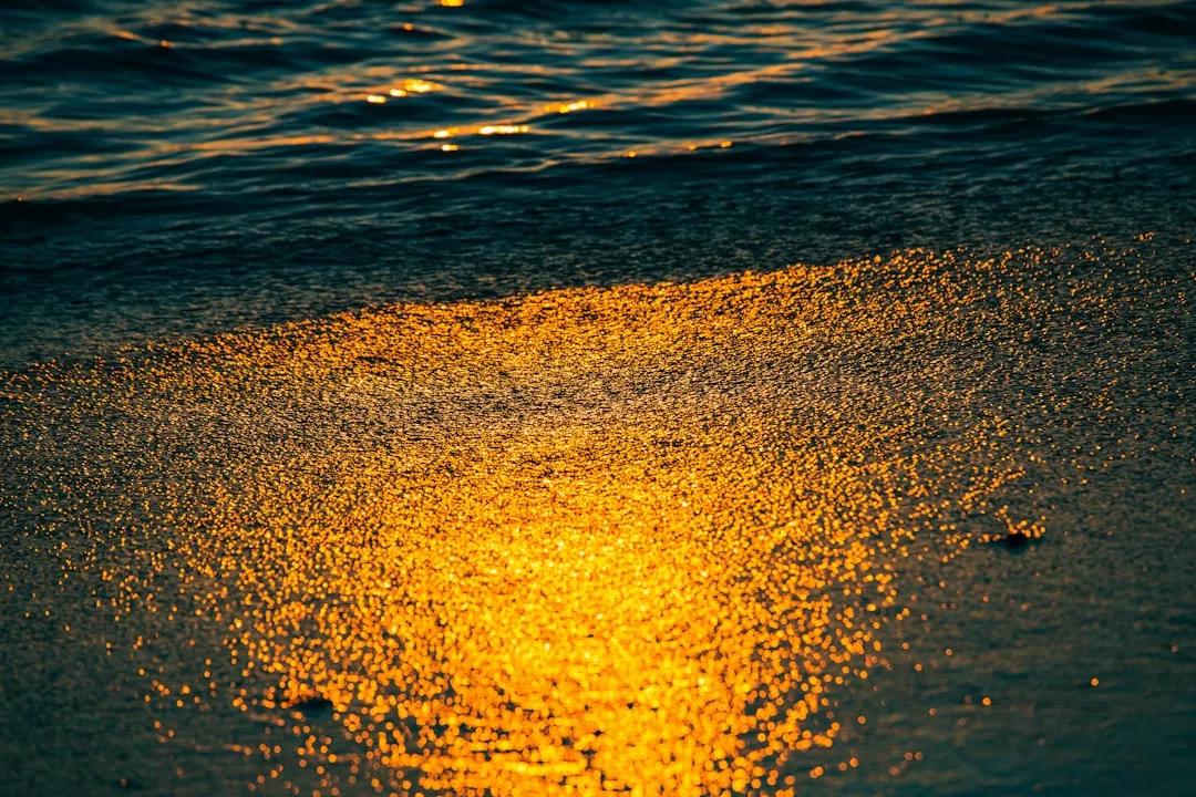 Golden sunset on the Costa del Sol beach